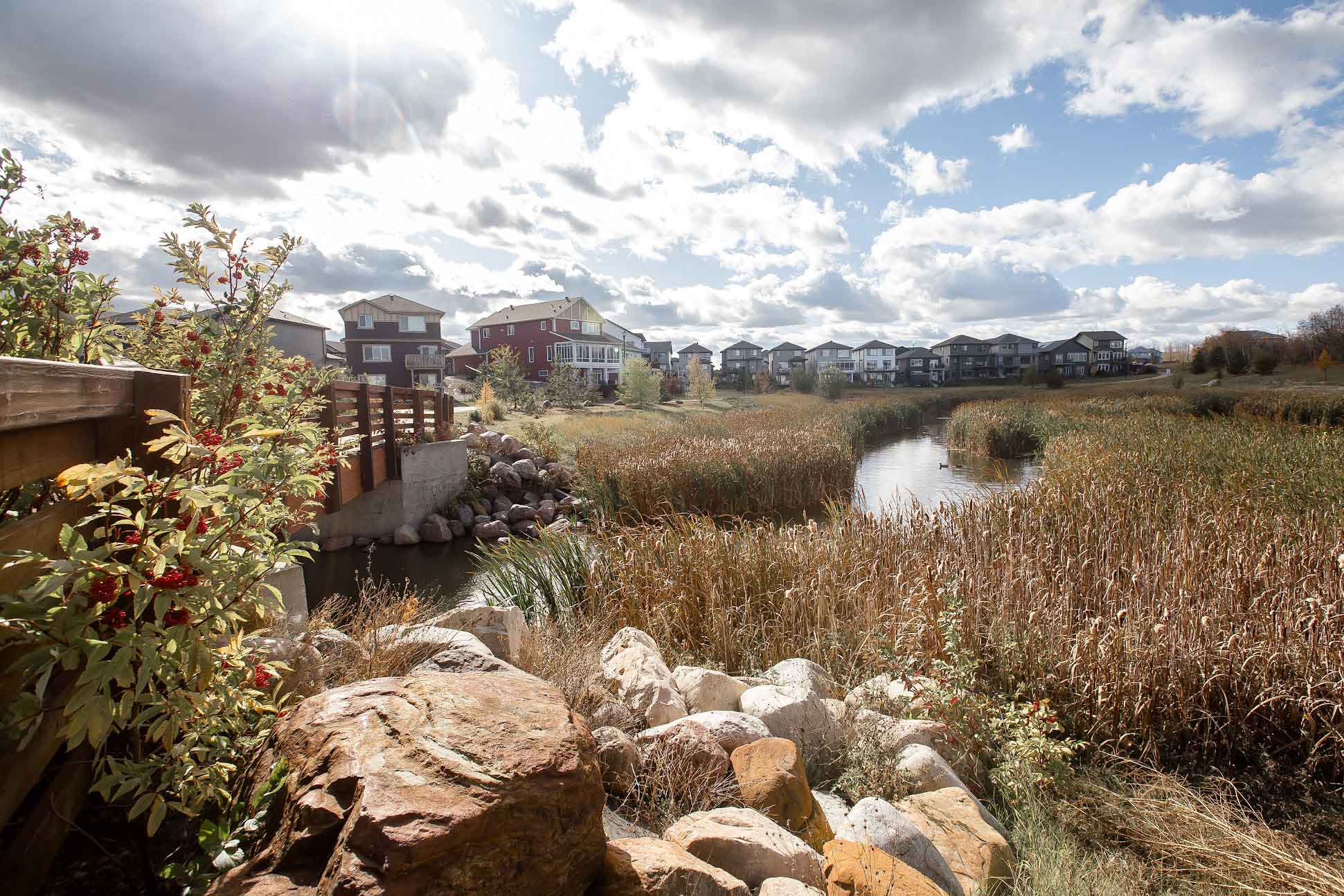 Home Cy Becker Landing